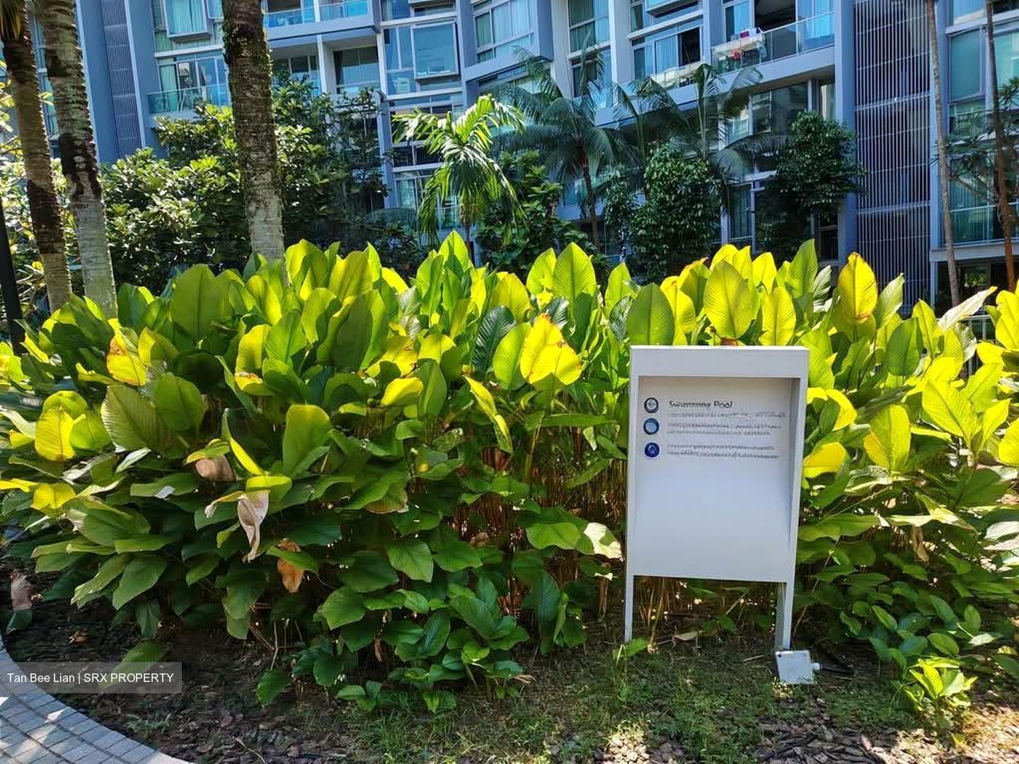 Botannia (D5), Condominium #593659701